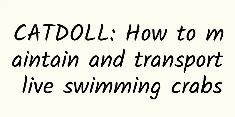 CATDOLL: How to maintain and transport live swimming crabs