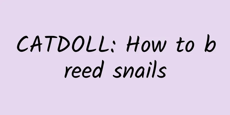 CATDOLL: How to breed snails