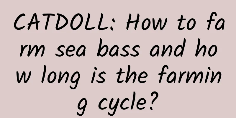 CATDOLL: How to farm sea bass and how long is the farming cycle?
