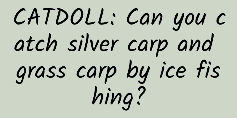 CATDOLL: Can you catch silver carp and grass carp by ice fishing?