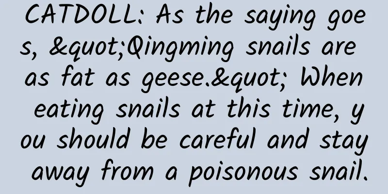 CATDOLL: As the saying goes, "Qingming snails are as fat as geese." When eating snails at this time, you should be careful and stay away from a poisonous snail.