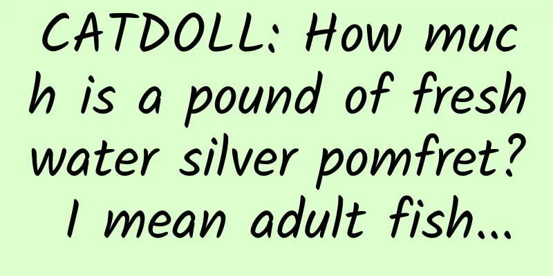 CATDOLL: How much is a pound of freshwater silver pomfret? I mean adult fish...