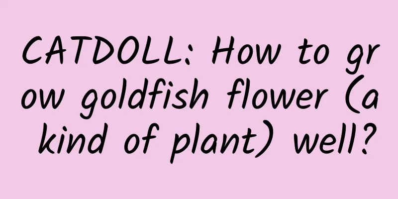 CATDOLL: How to grow goldfish flower (a kind of plant) well?