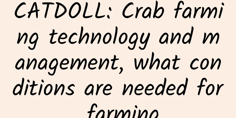 CATDOLL: Crab farming technology and management, what conditions are needed for farming