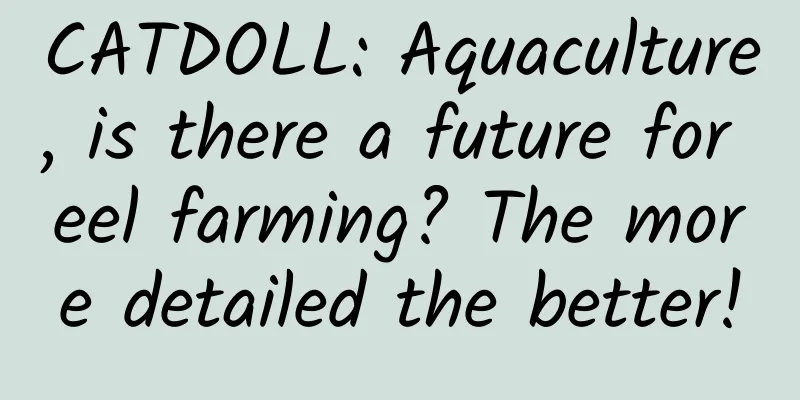CATDOLL: Aquaculture, is there a future for eel farming? The more detailed the better!
