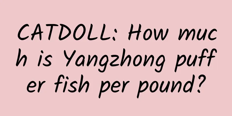 CATDOLL: How much is Yangzhong puffer fish per pound?