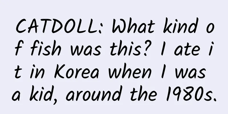 CATDOLL: What kind of fish was this? I ate it in Korea when I was a kid, around the 1980s.