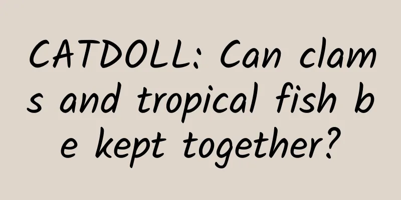 CATDOLL: Can clams and tropical fish be kept together?
