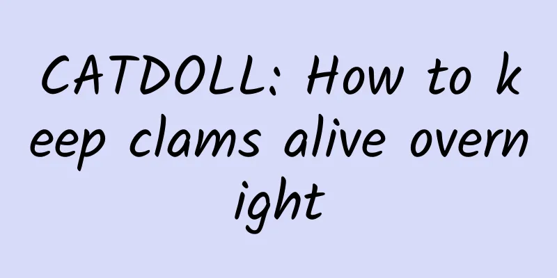 CATDOLL: How to keep clams alive overnight