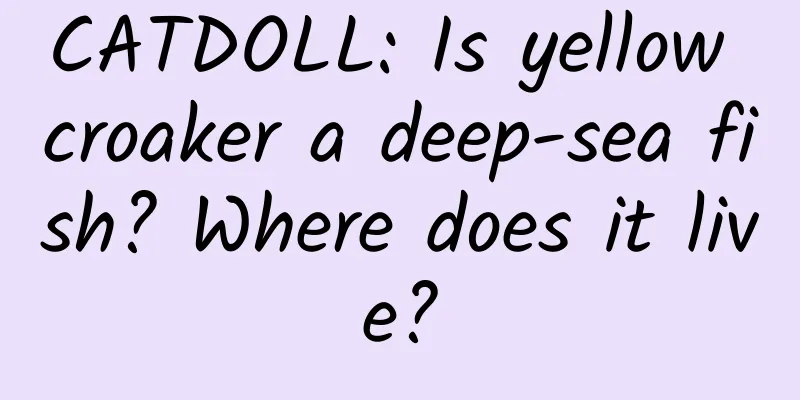 CATDOLL: Is yellow croaker a deep-sea fish? Where does it live?