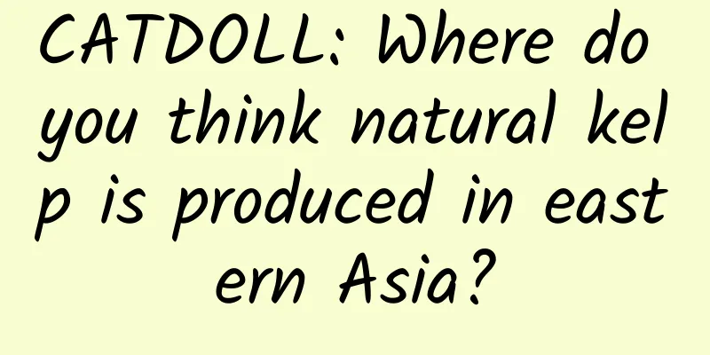 CATDOLL: Where do you think natural kelp is produced in eastern Asia?