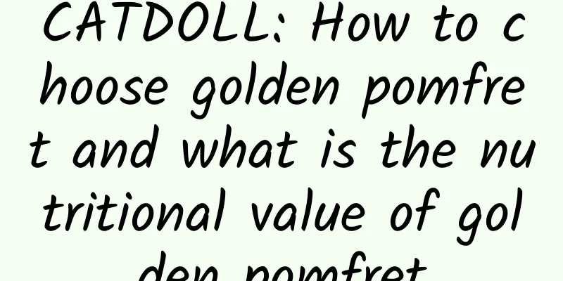 CATDOLL: How to choose golden pomfret and what is the nutritional value of golden pomfret