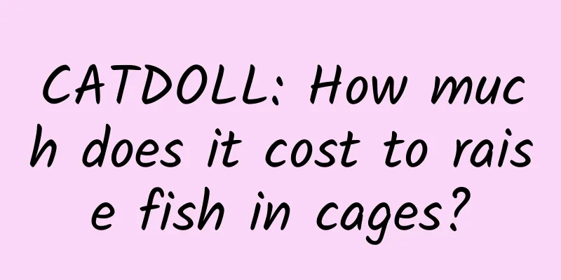 CATDOLL: How much does it cost to raise fish in cages?