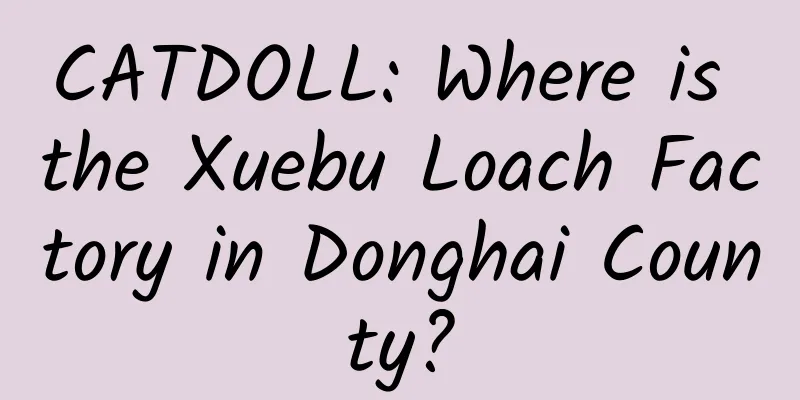 CATDOLL: Where is the Xuebu Loach Factory in Donghai County?