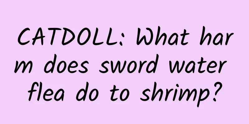 CATDOLL: What harm does sword water flea do to shrimp?