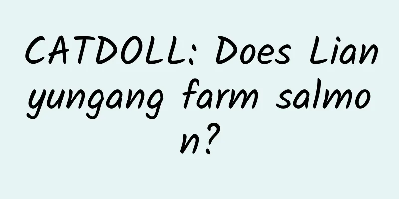 CATDOLL: Does Lianyungang farm salmon?