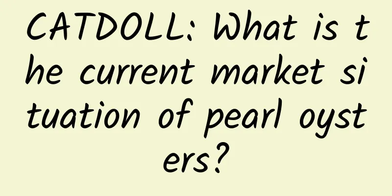 CATDOLL: What is the current market situation of pearl oysters?