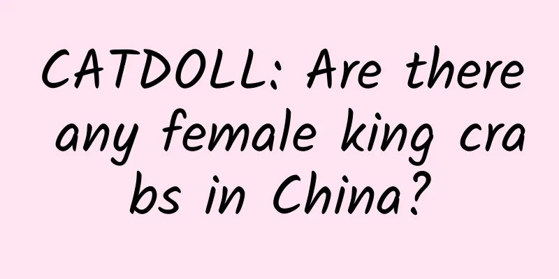 CATDOLL: Are there any female king crabs in China?