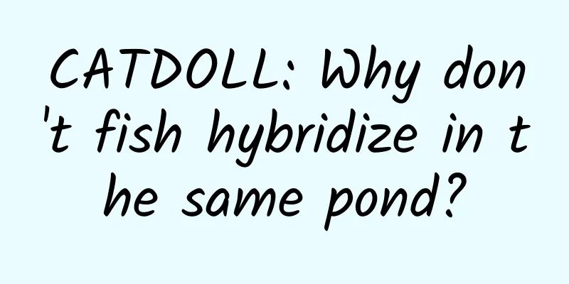 CATDOLL: Why don't fish hybridize in the same pond?