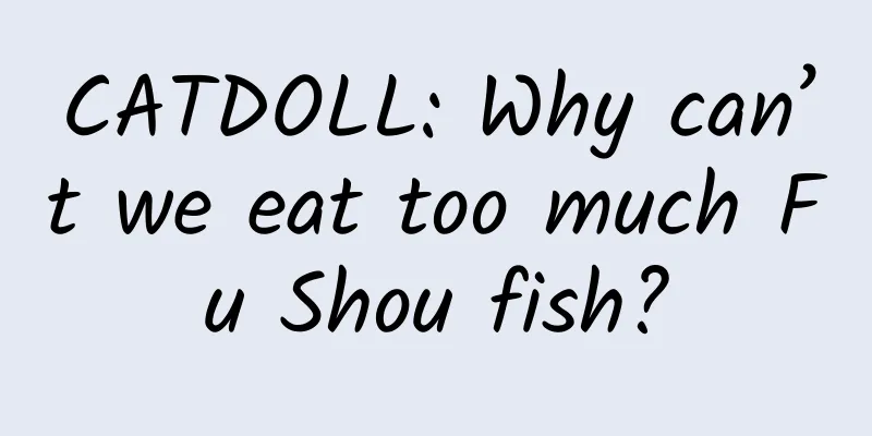 CATDOLL: Why can’t we eat too much Fu Shou fish?