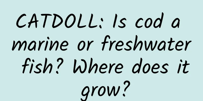 CATDOLL: Is cod a marine or freshwater fish? Where does it grow?