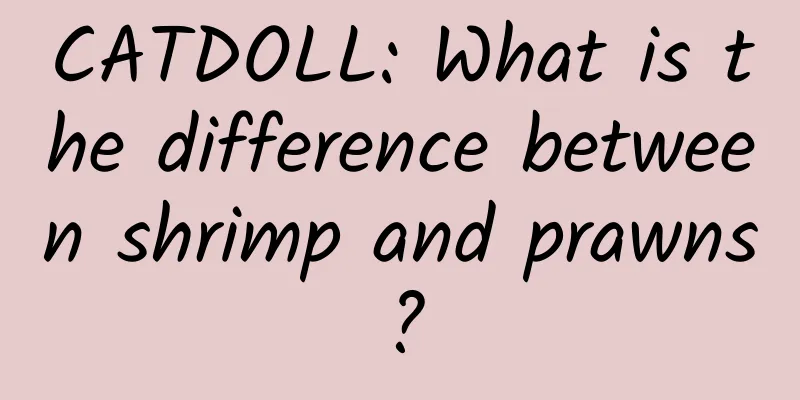 CATDOLL: What is the difference between shrimp and prawns?