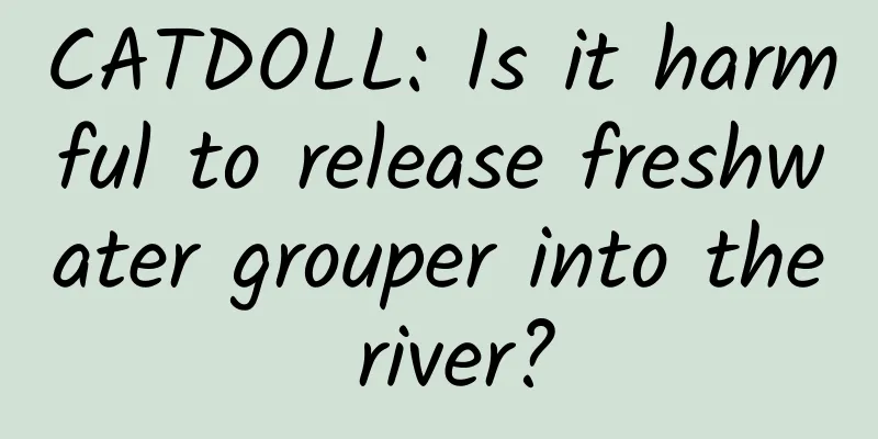 CATDOLL: Is it harmful to release freshwater grouper into the river?