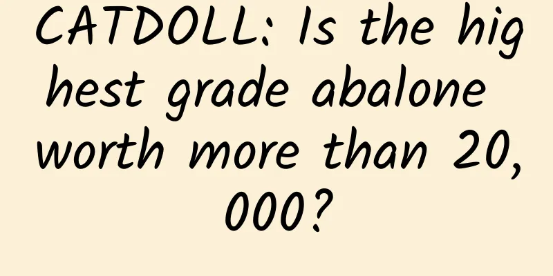 CATDOLL: Is the highest grade abalone worth more than 20,000?