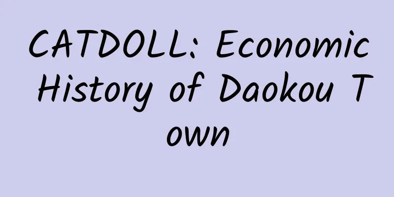 CATDOLL: Economic History of Daokou Town