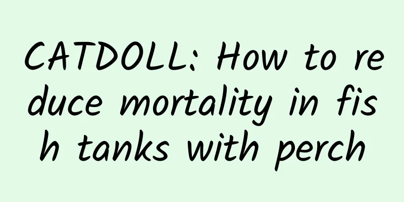 CATDOLL: How to reduce mortality in fish tanks with perch