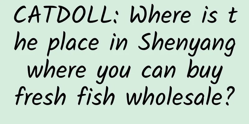 CATDOLL: Where is the place in Shenyang where you can buy fresh fish wholesale?