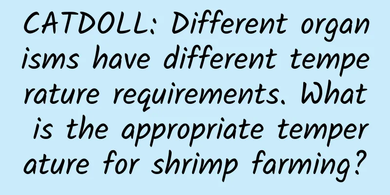 CATDOLL: Different organisms have different temperature requirements. What is the appropriate temperature for shrimp farming?
