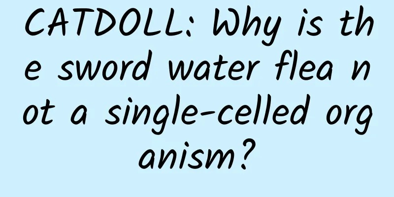 CATDOLL: Why is the sword water flea not a single-celled organism?
