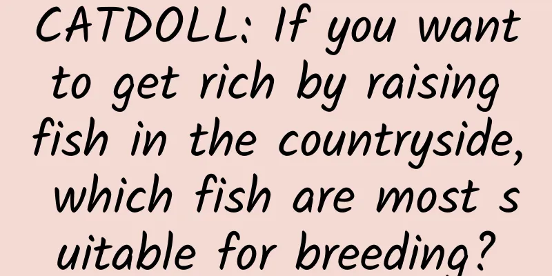 CATDOLL: If you want to get rich by raising fish in the countryside, which fish are most suitable for breeding?