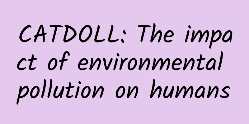 CATDOLL: The impact of environmental pollution on humans