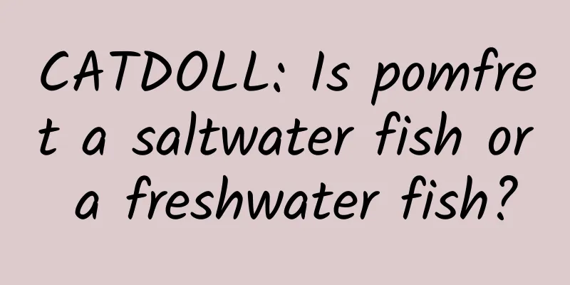 CATDOLL: Is pomfret a saltwater fish or a freshwater fish?