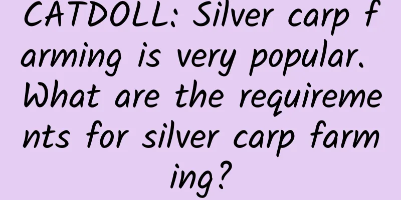 CATDOLL: Silver carp farming is very popular. What are the requirements for silver carp farming?
