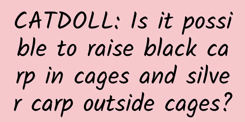 CATDOLL: Is it possible to raise black carp in cages and silver carp outside cages?