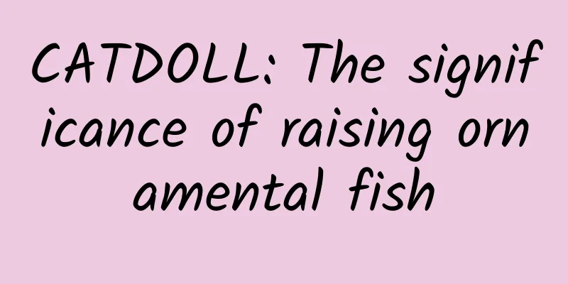 CATDOLL: The significance of raising ornamental fish