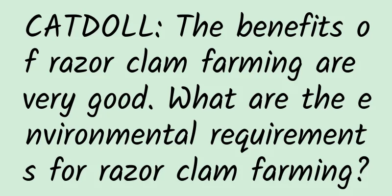 CATDOLL: The benefits of razor clam farming are very good. What are the environmental requirements for razor clam farming?