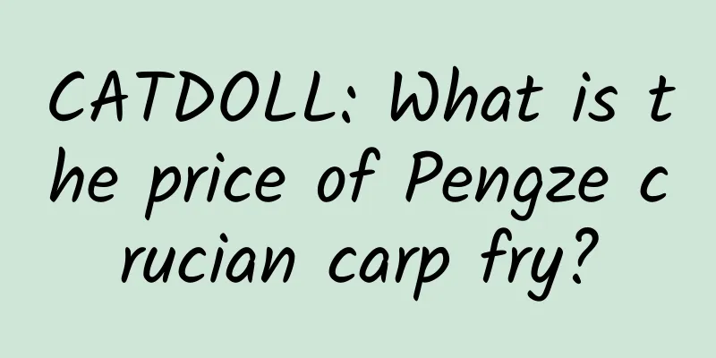 CATDOLL: What is the price of Pengze crucian carp fry?