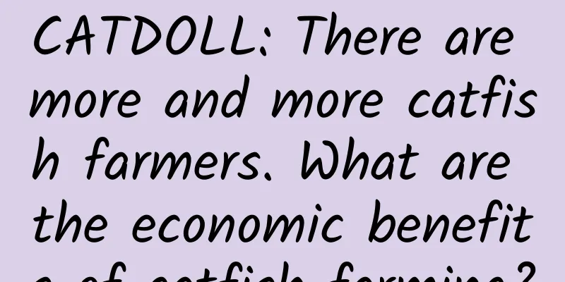 CATDOLL: There are more and more catfish farmers. What are the economic benefits of catfish farming?