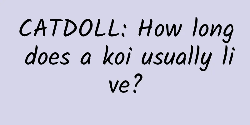 CATDOLL: How long does a koi usually live?