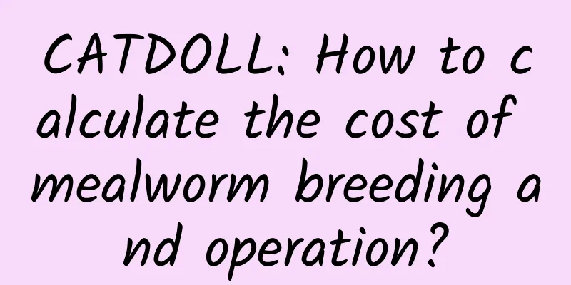 CATDOLL: How to calculate the cost of mealworm breeding and operation?