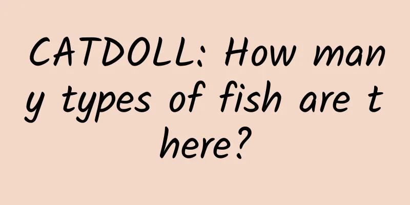 CATDOLL: How many types of fish are there?
