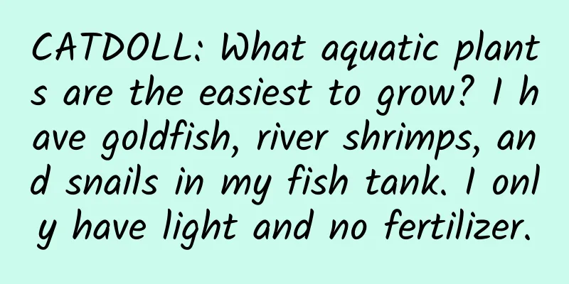 CATDOLL: What aquatic plants are the easiest to grow? I have goldfish, river shrimps, and snails in my fish tank. I only have light and no fertilizer.