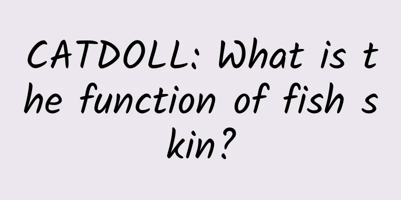 CATDOLL: What is the function of fish skin?