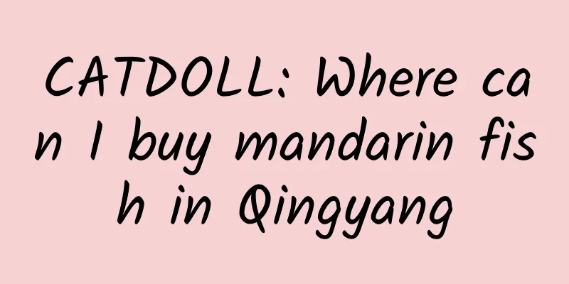 CATDOLL: Where can I buy mandarin fish in Qingyang