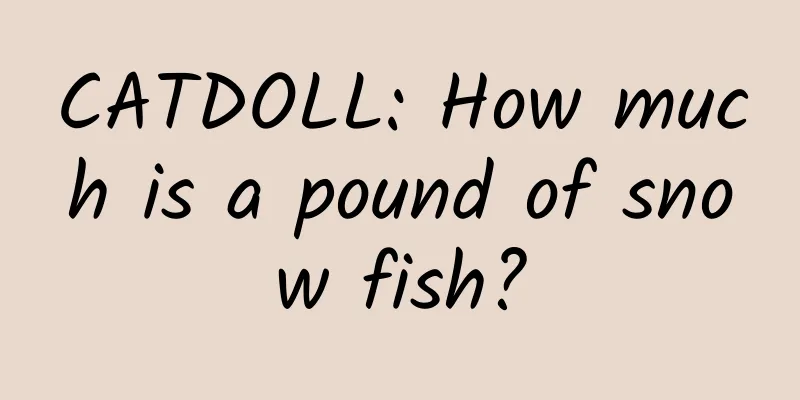 CATDOLL: How much is a pound of snow fish?