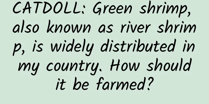 CATDOLL: Green shrimp, also known as river shrimp, is widely distributed in my country. How should it be farmed?